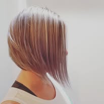 Taylor - All-Around Pro